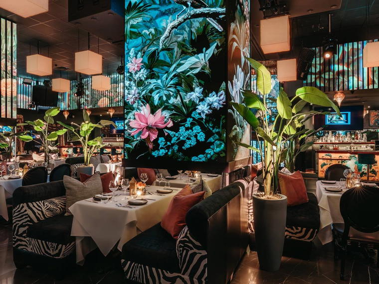 Corazon by Baires, Orlando, United States