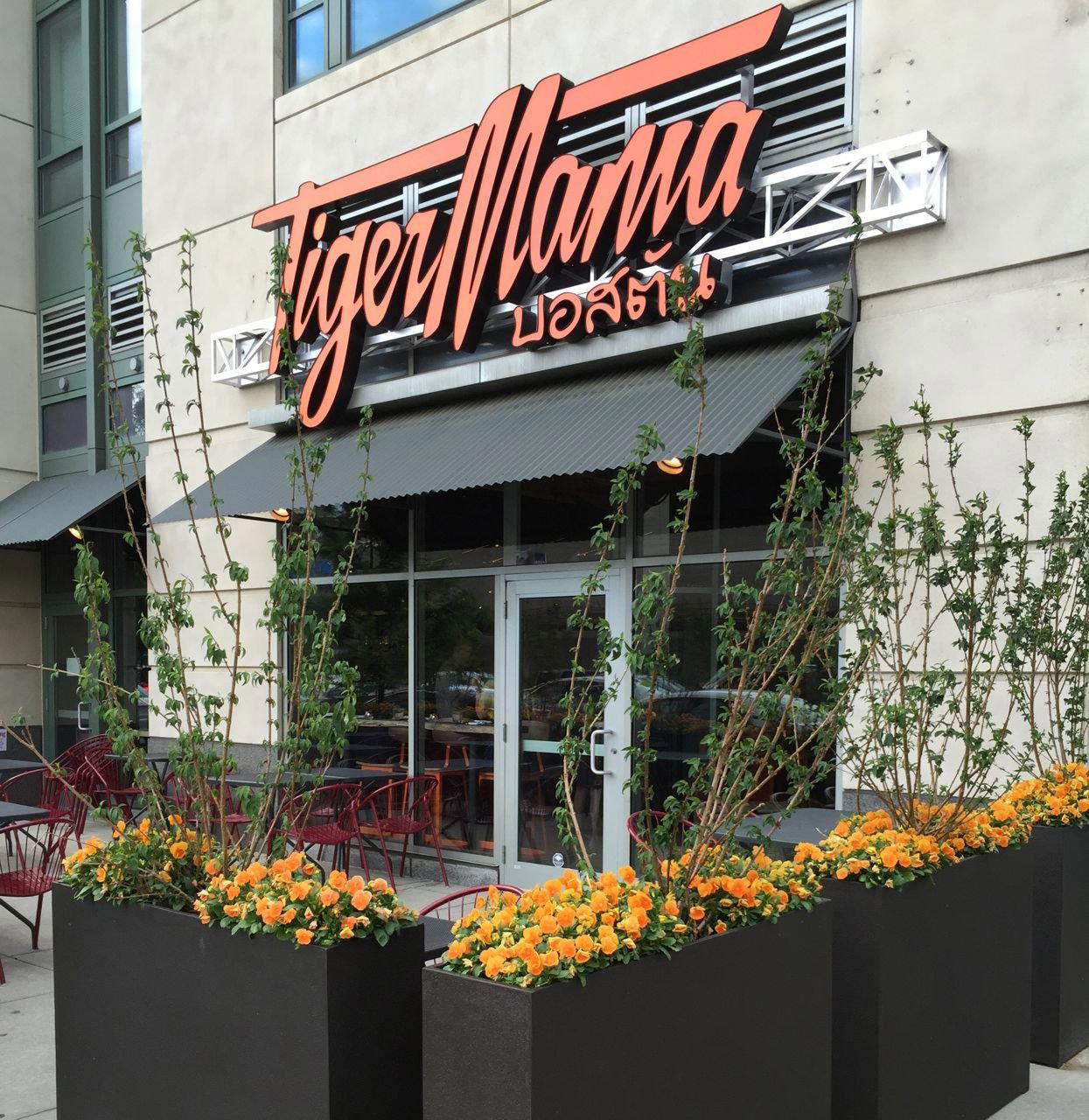 Tiger Mama restaurant in Boston, United States