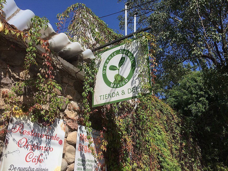 Organic & Co Café, Restaurant in Puerto Vallarta