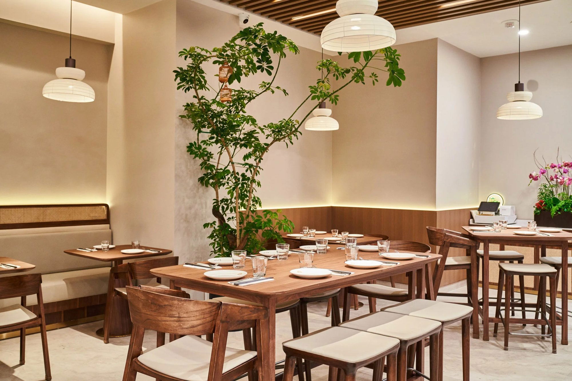 Le Soleil, Restaurant in San Francisco