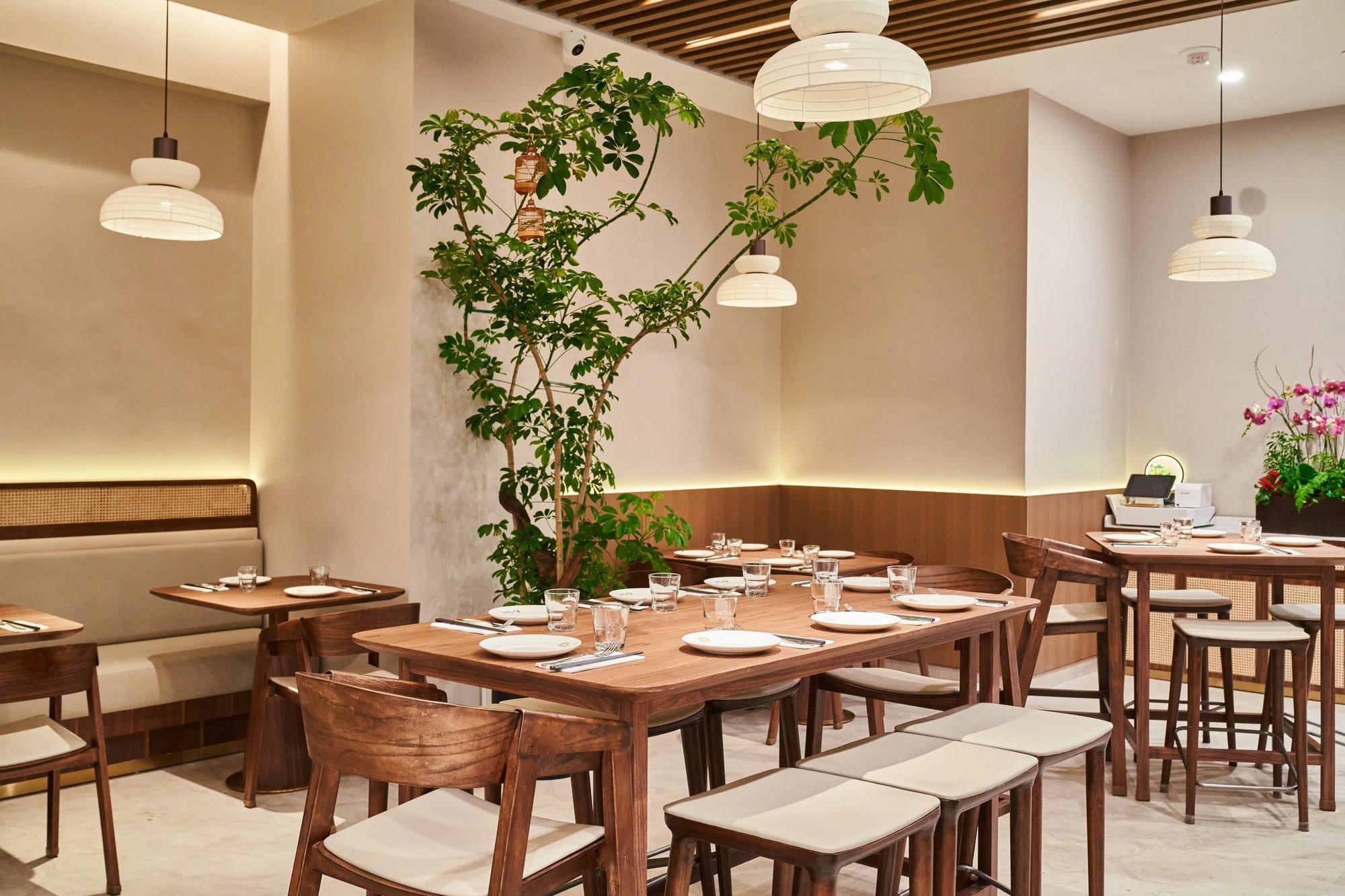 Le Soleil restaurant in San Francisco, United States