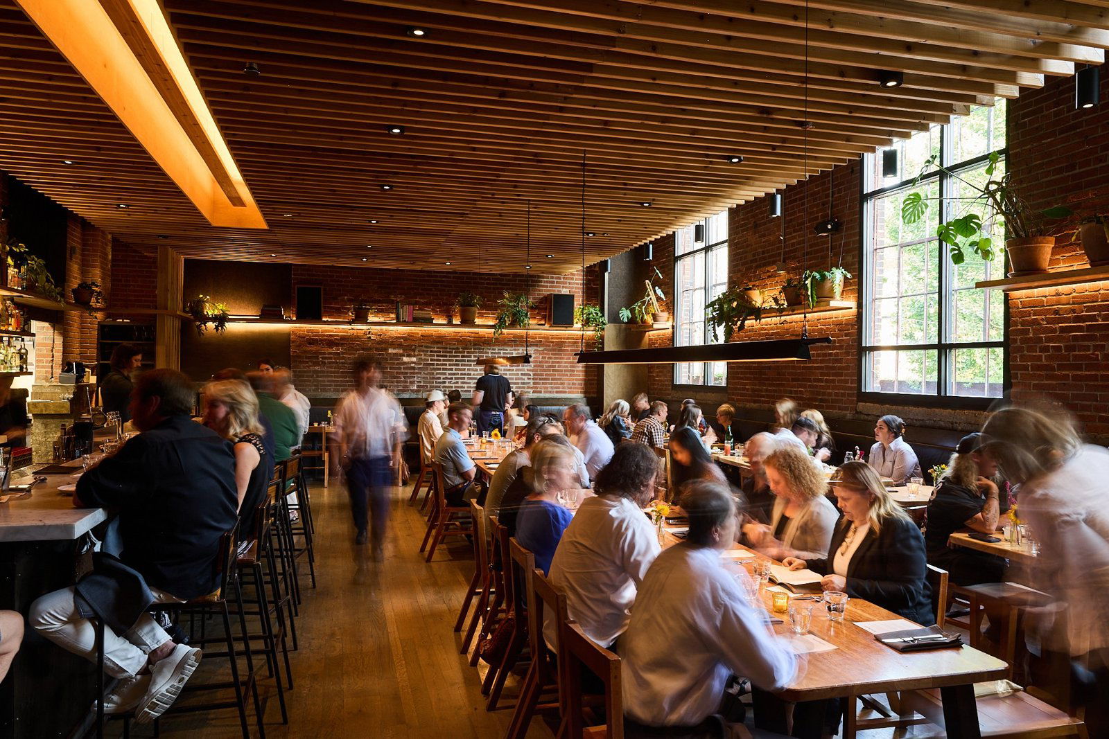 Rolf & Daughters, Restaurant in Nashville