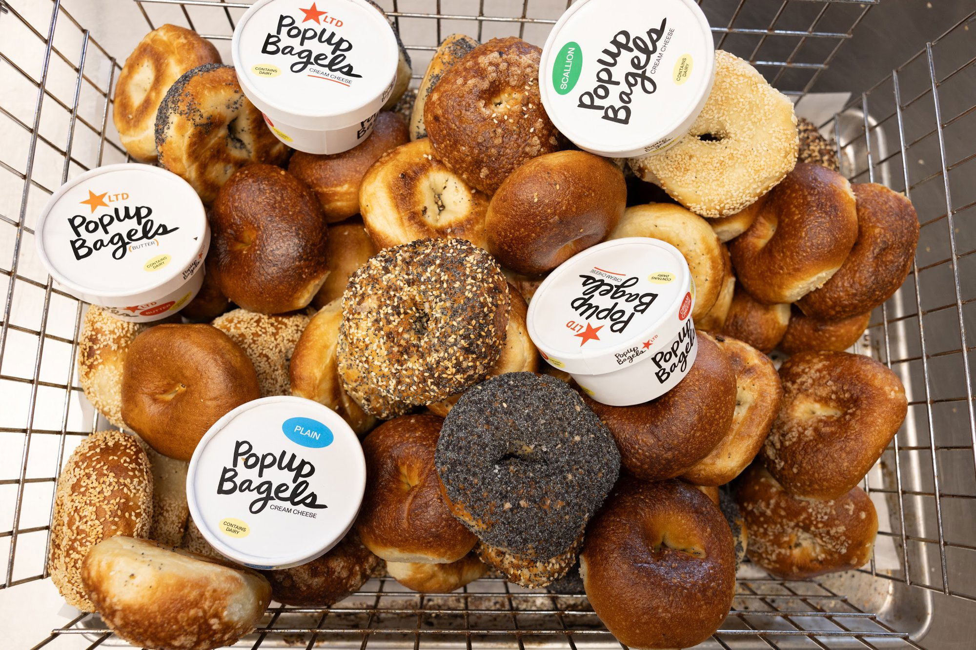 PopUp Bagels Charleston, Restaurant in Charleston