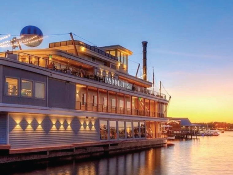 Paddlefish, Lake Buena Vista, United States