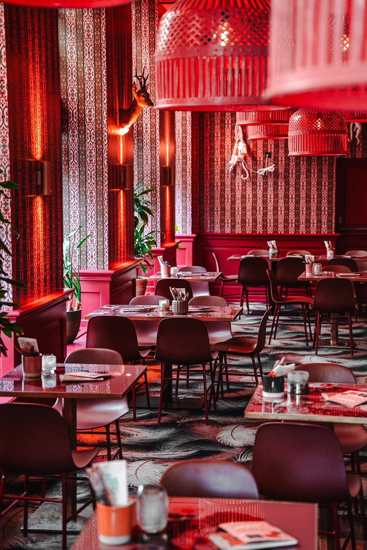 The Streetfood Club, Restaurant in Utrecht