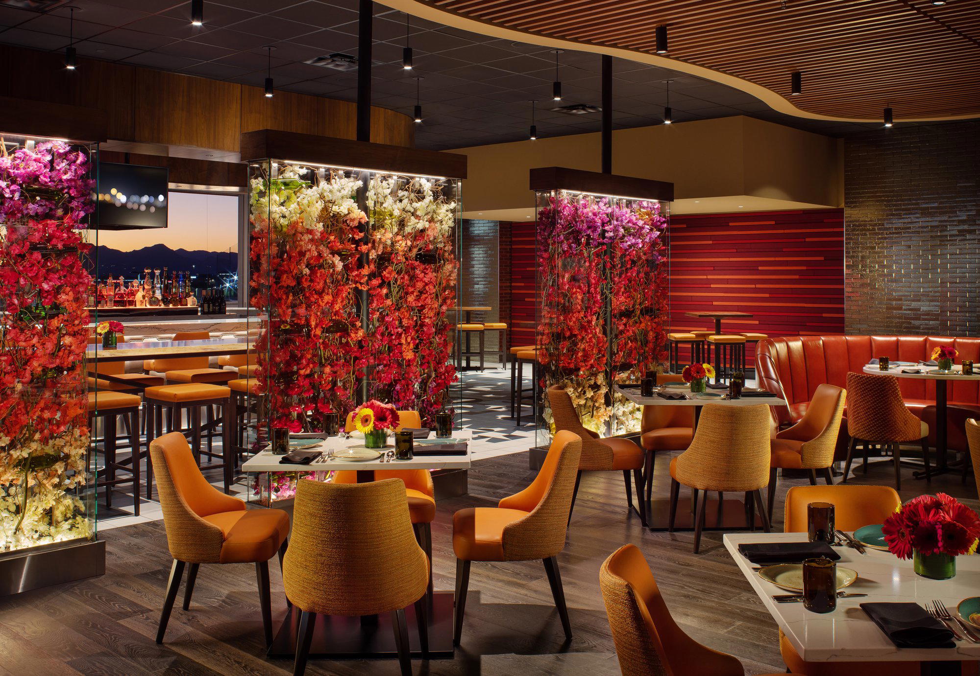 Tash, Scottsdale, United States