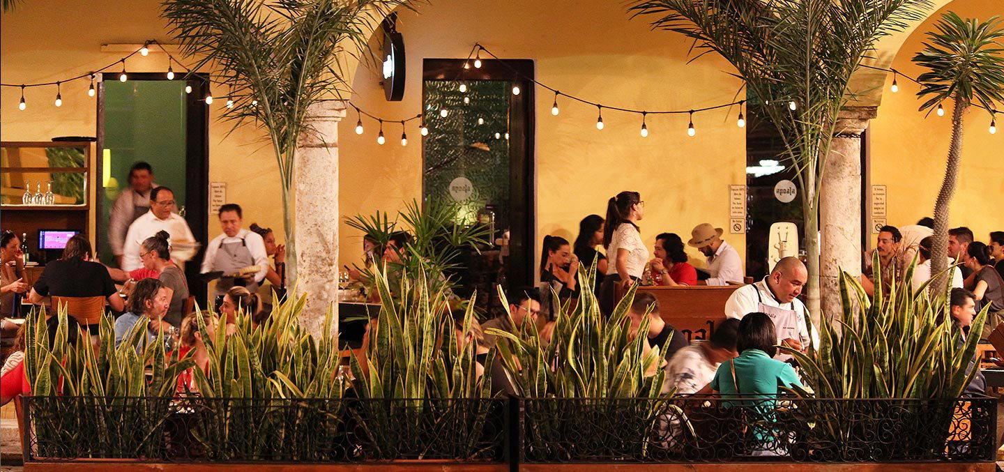 Apoala restaurant in Mérida