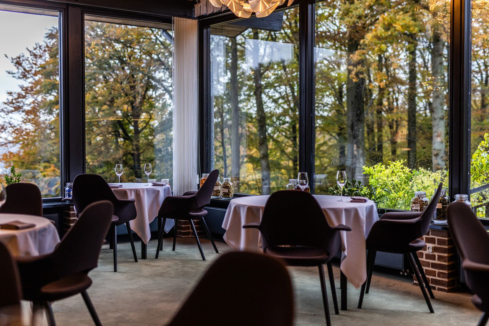 Treetop, Restaurant in Vejle