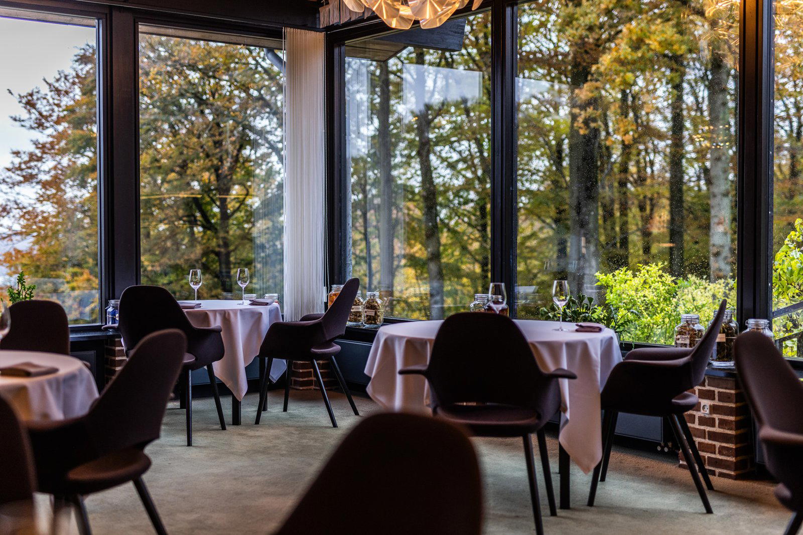Treetop restaurant in Vejle