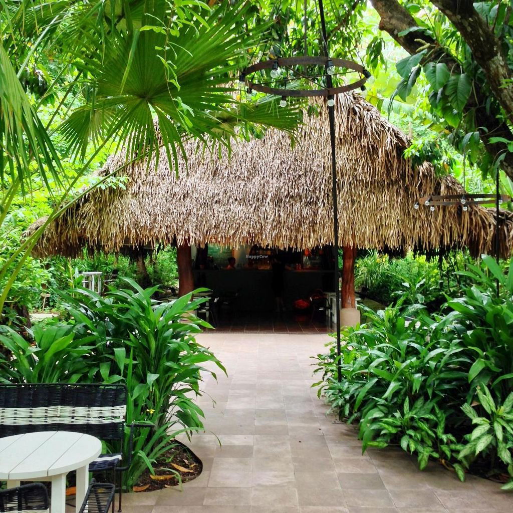 Juice Bar, Restaurant in Nicoya