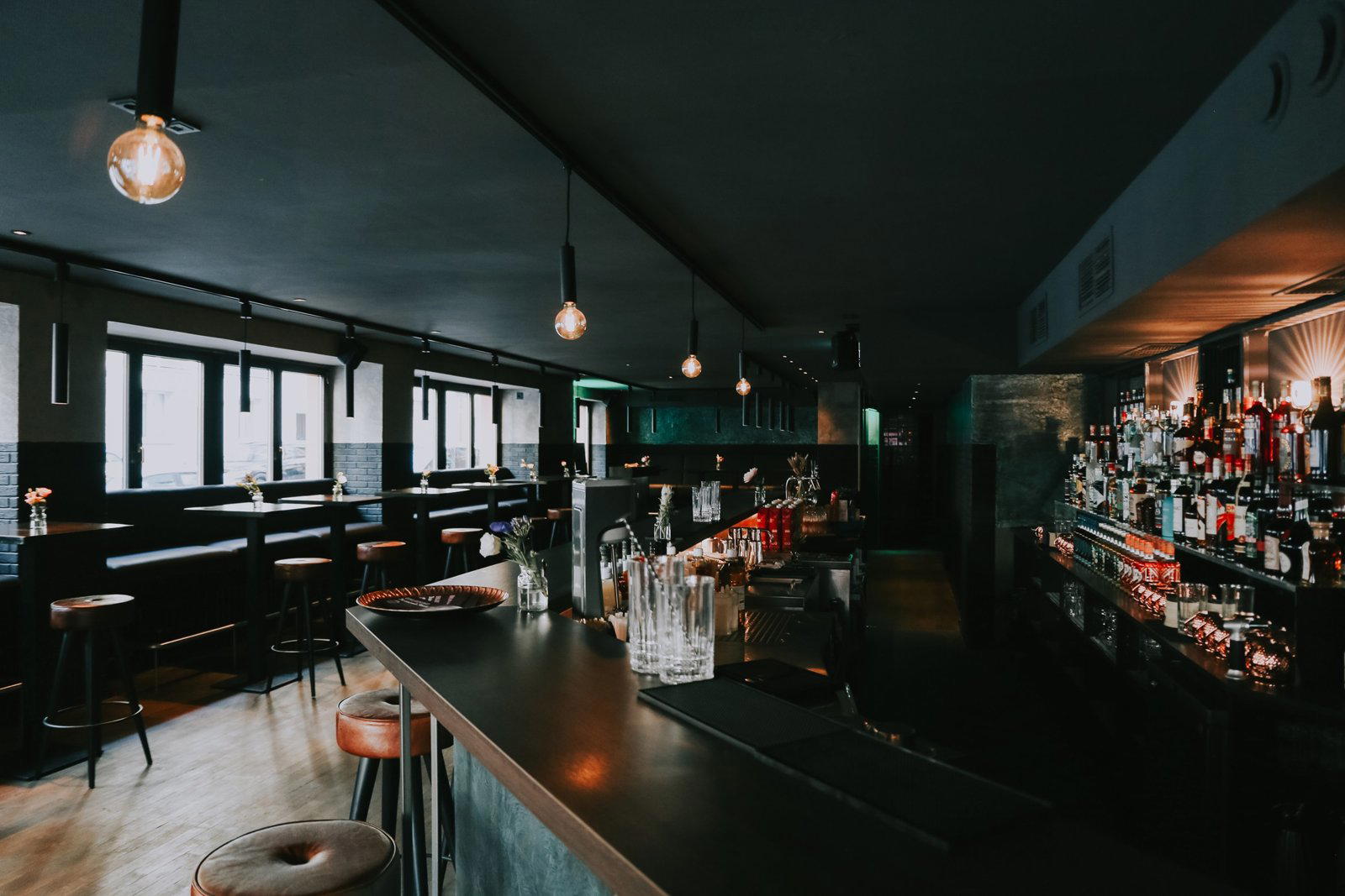 Punky Panda, Cologne, Germany