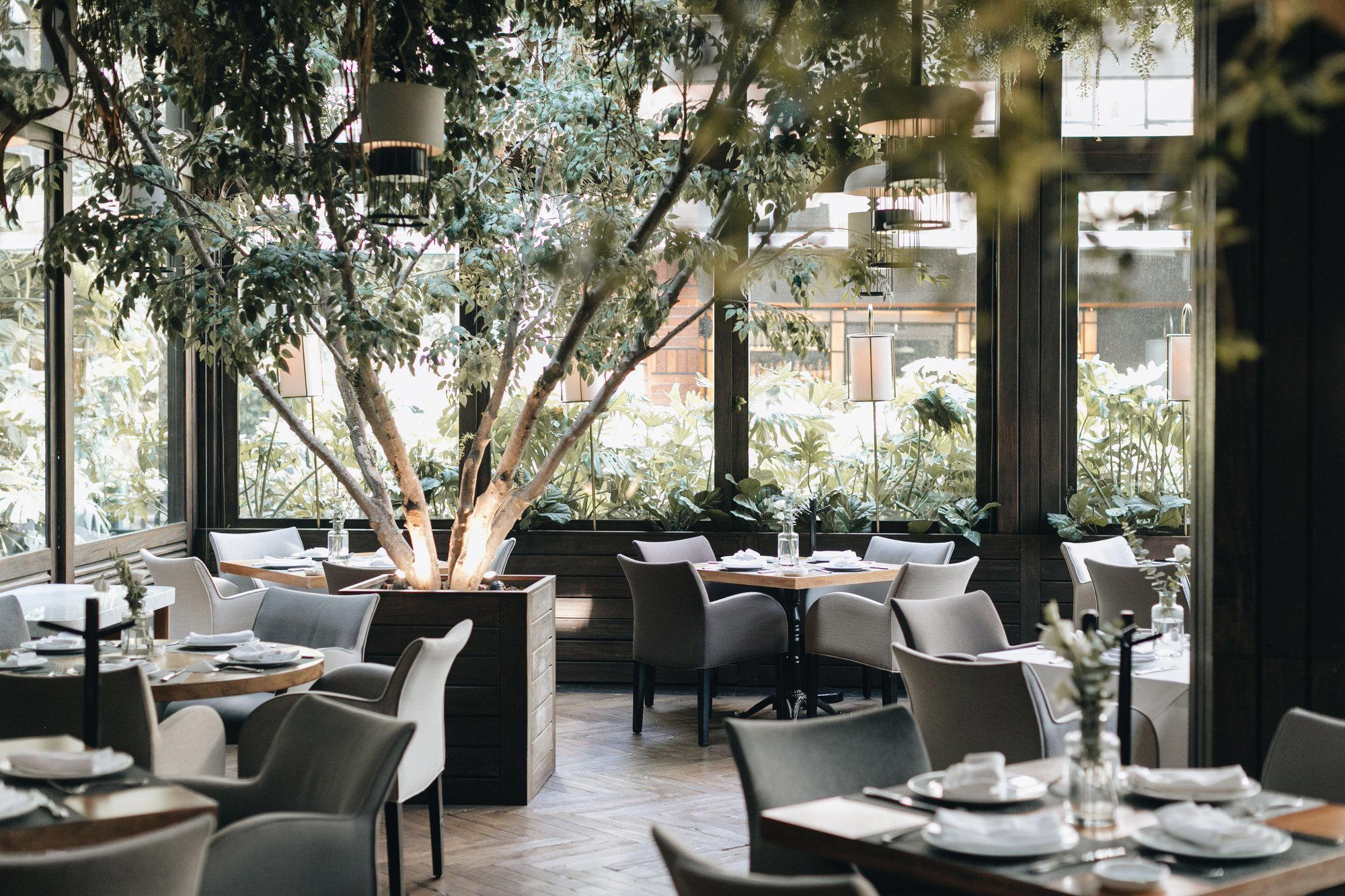 Costa Guadiana restaurant in Mexico City, Mexico