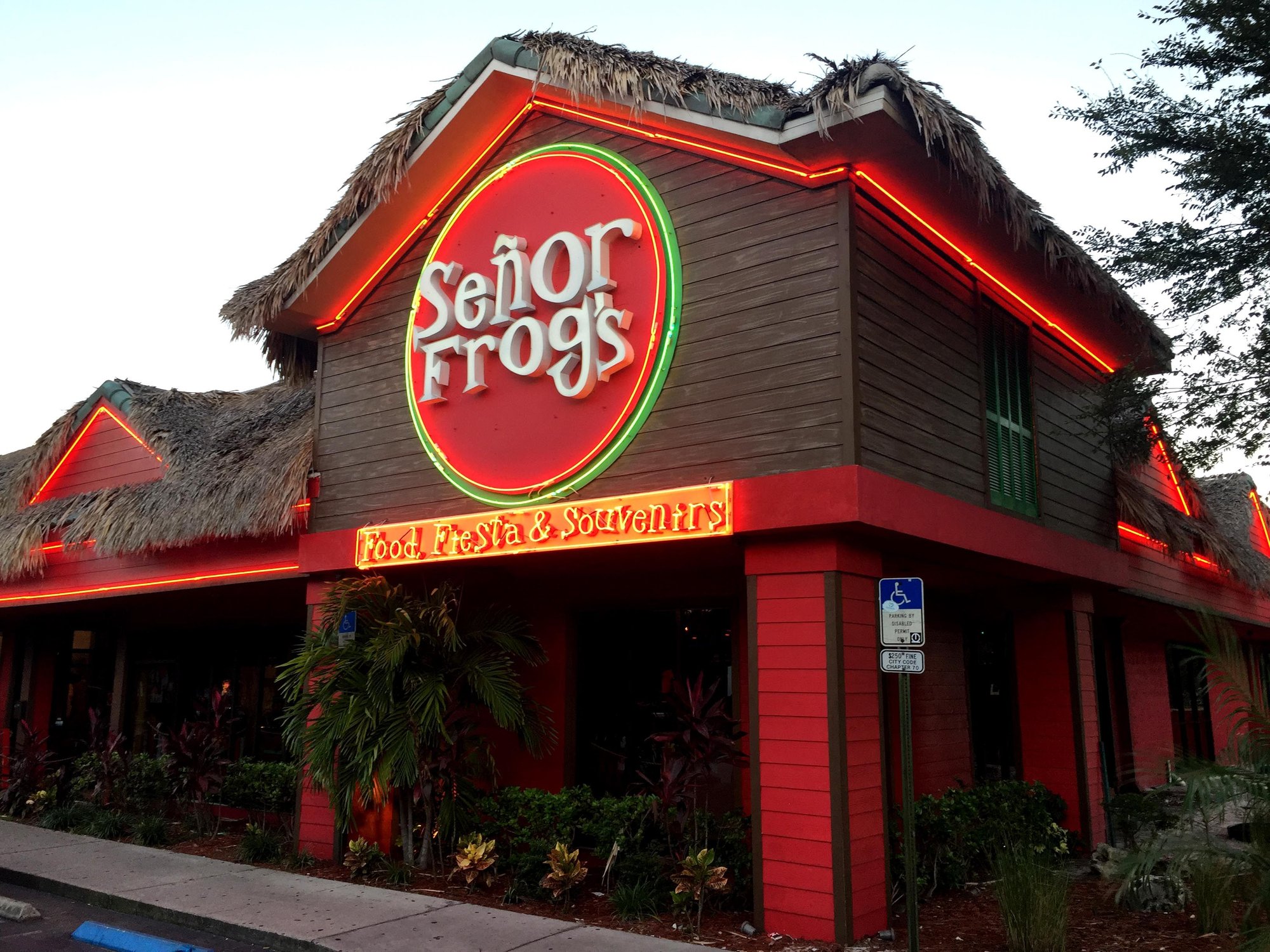 Señor Frog's Orlando, Orlando, United States