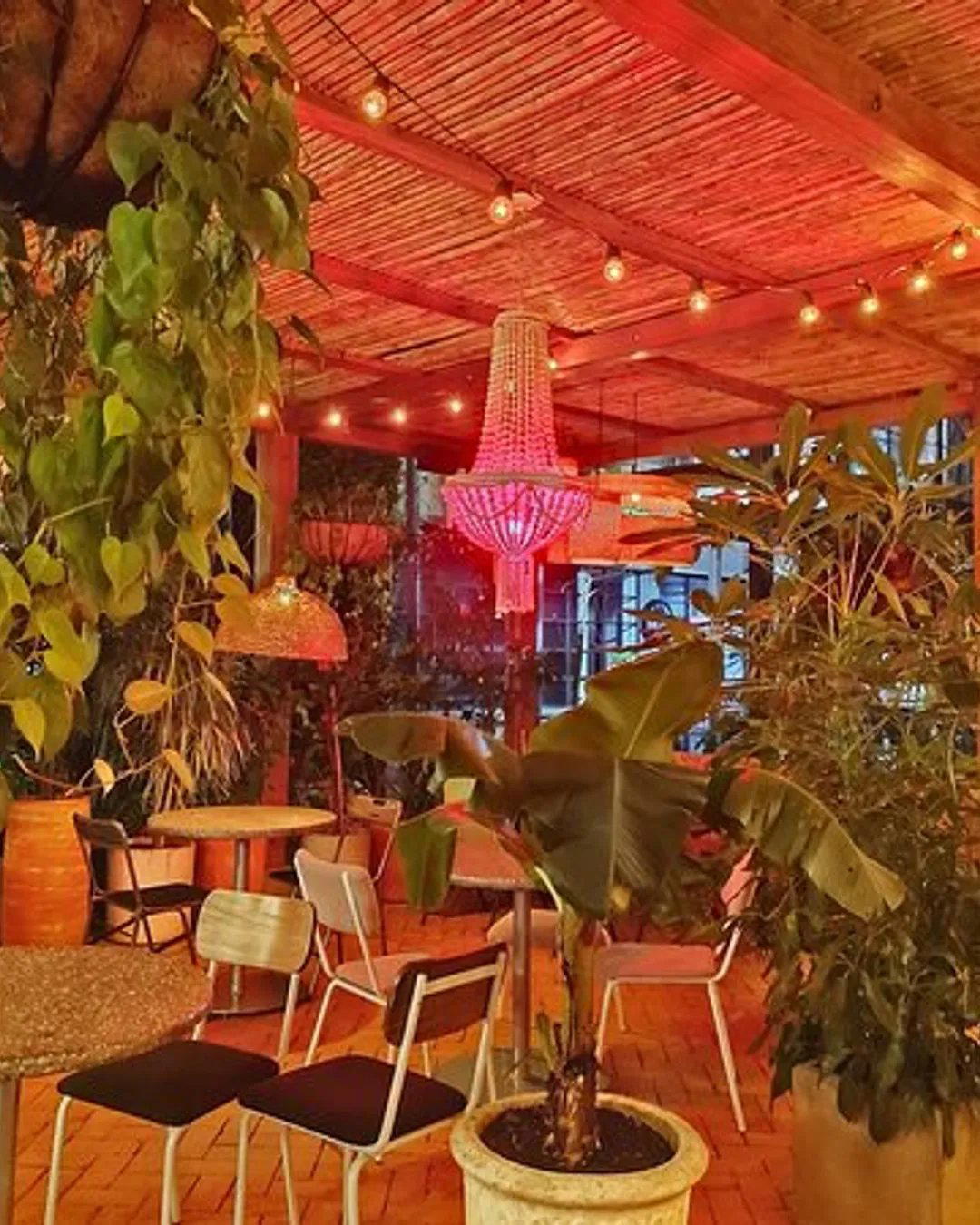Mamasita restaurant in Medellín