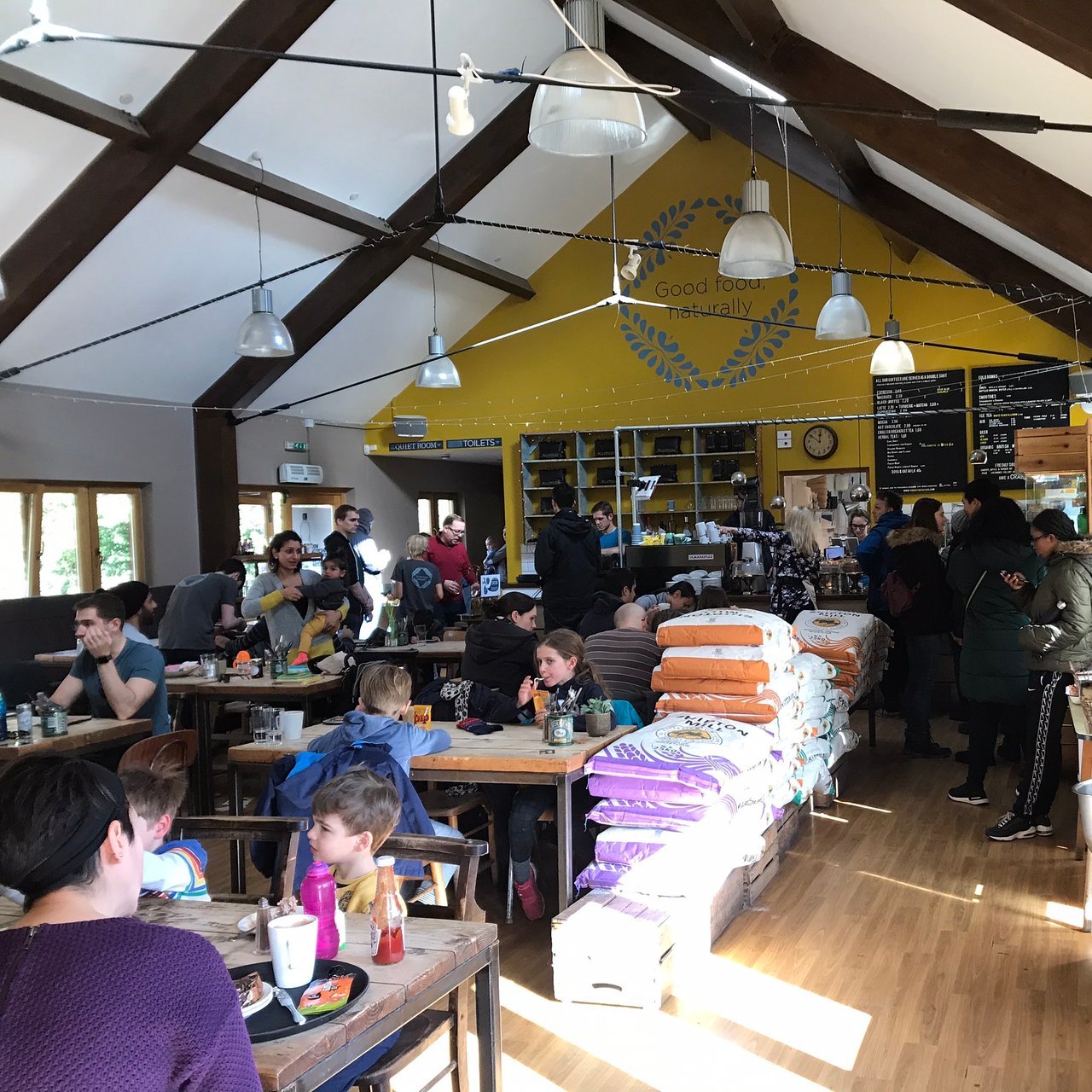The Cafe in the Park