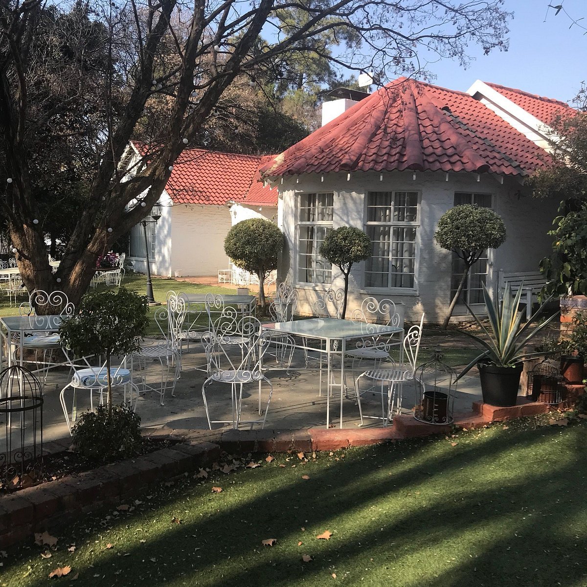 Stelle, Johannesburg, South Africa