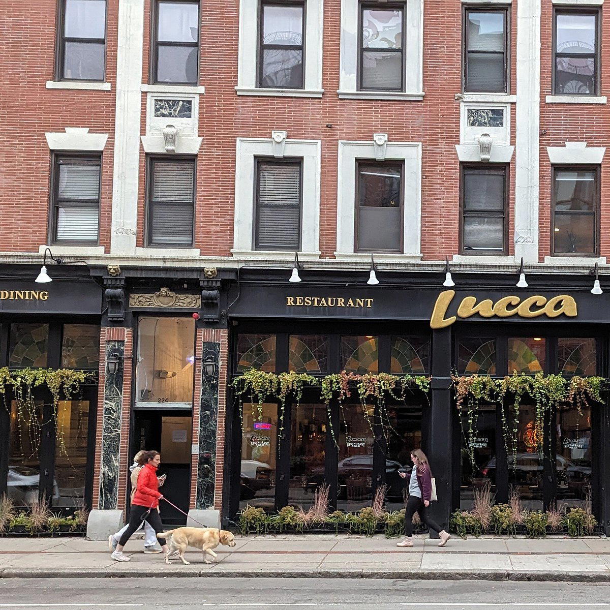 Lucca, Boston, United States