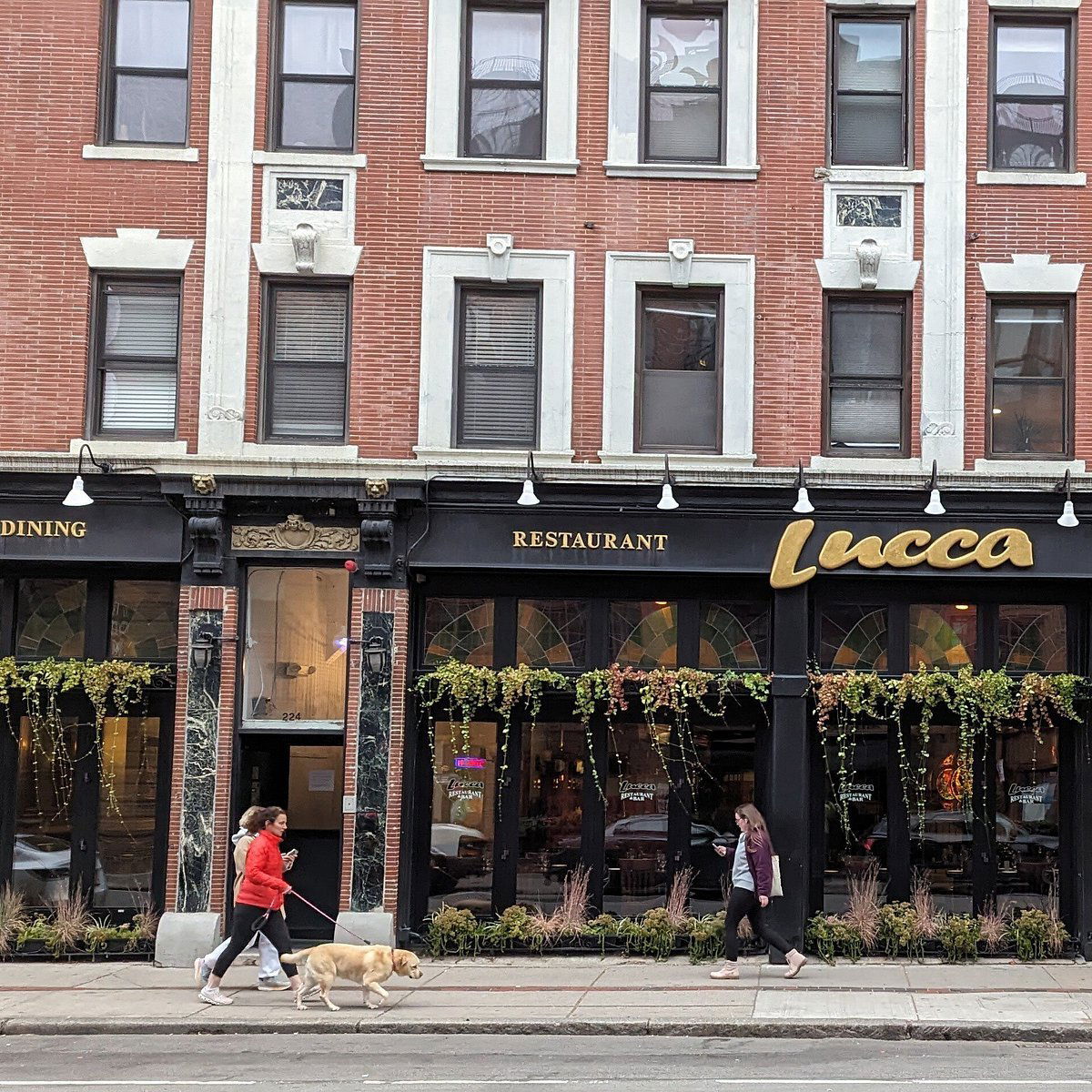 Lucca, Restaurant in Boston