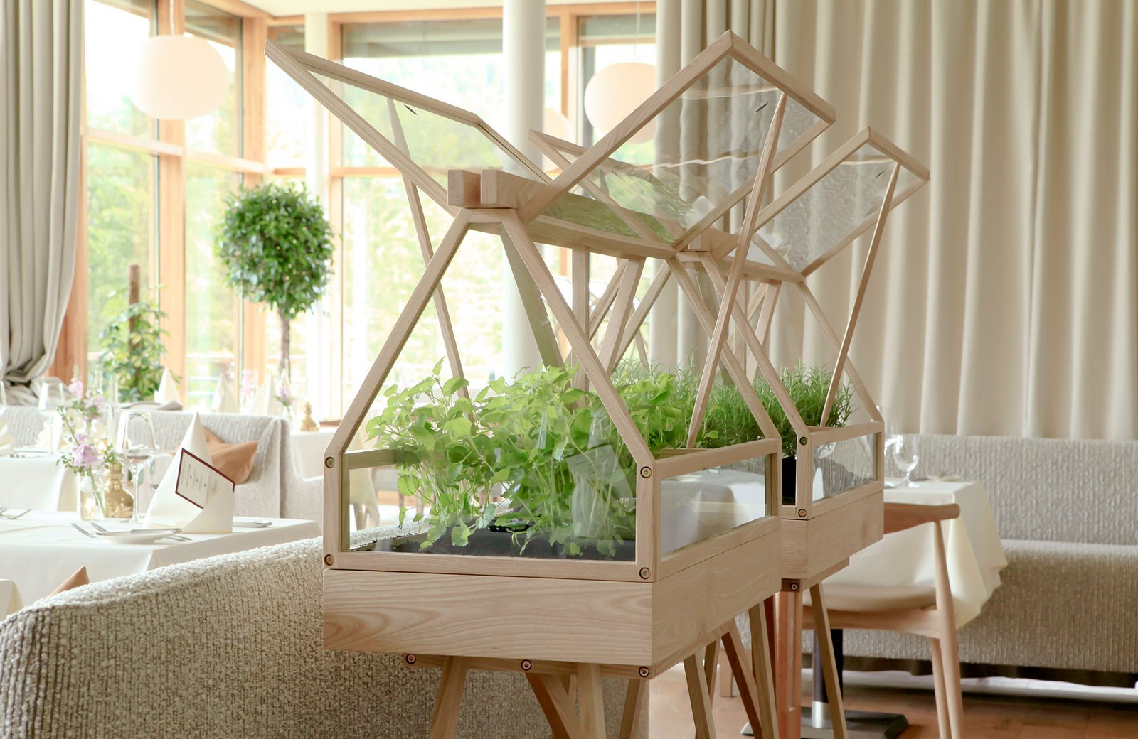 Greenhouse