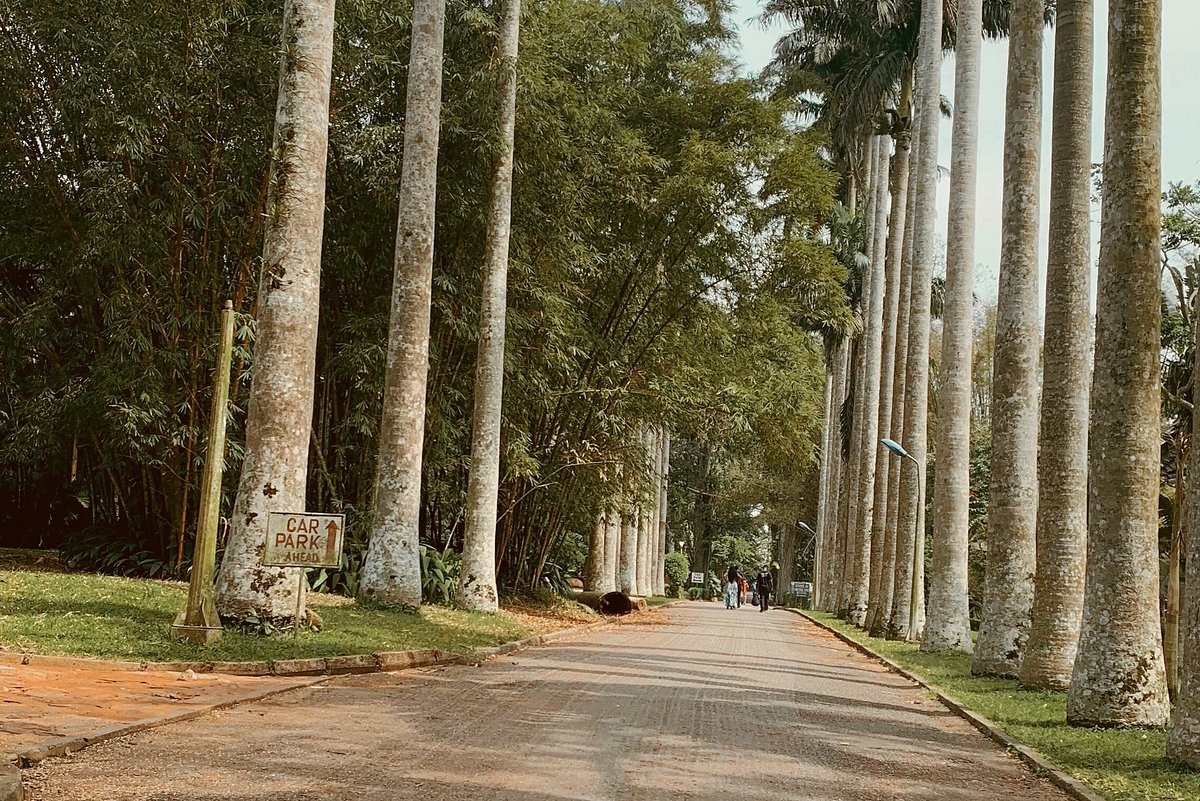 Tortuga Island Gh, Accra, Ghana