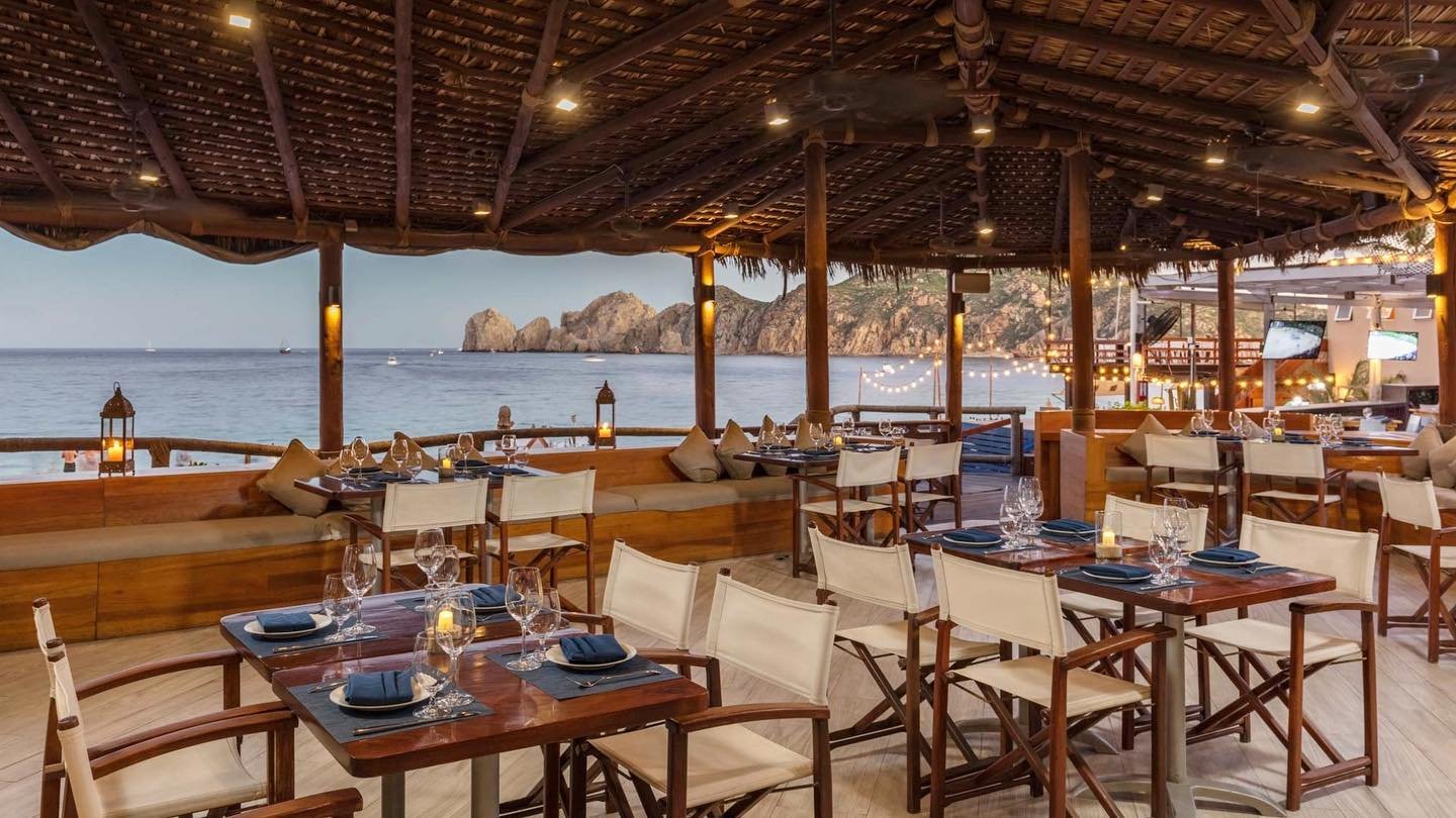 Aleta, Restaurant in Cabo San Lucas
