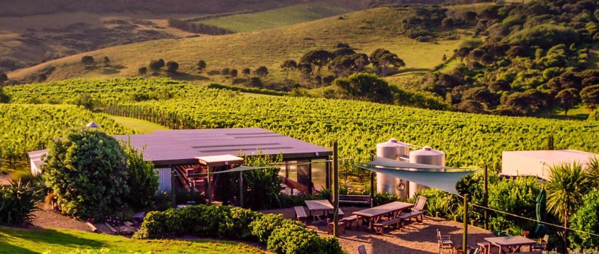 Te Motu Vineyard