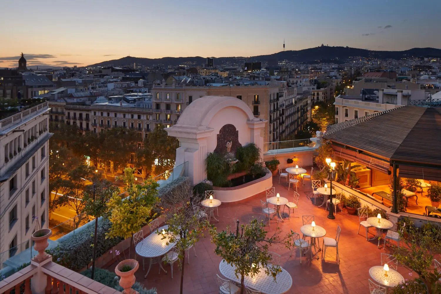 Rooftop Garden