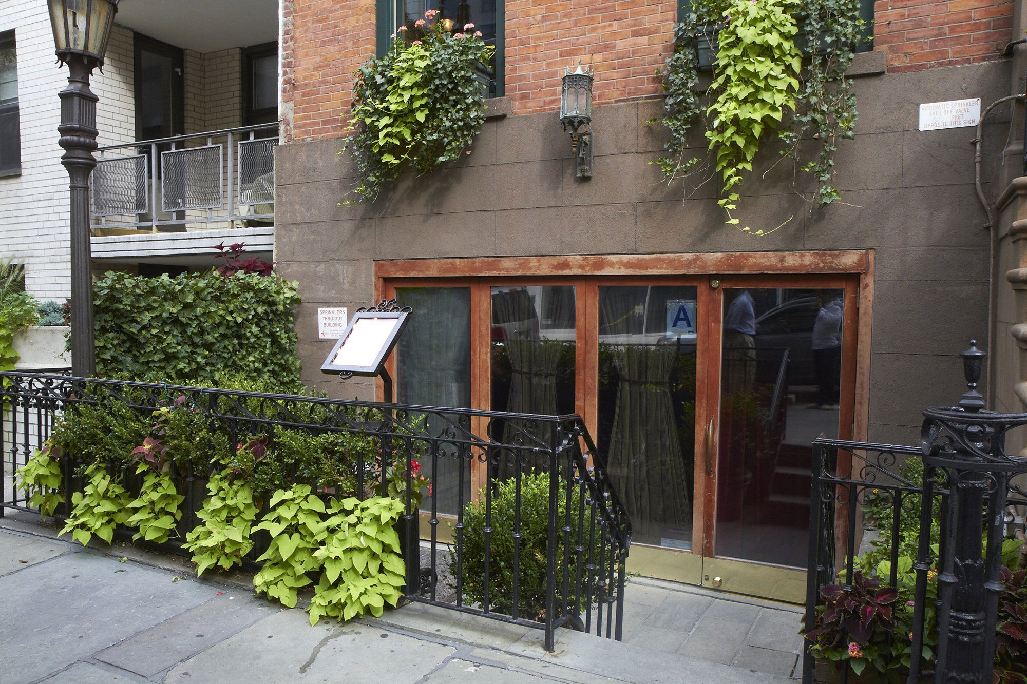 Cibar, Restaurant in New York City