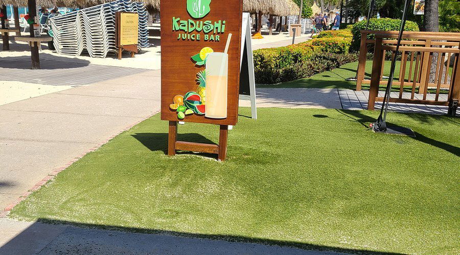 Kadushi Juice Bar, Restaurant in Noord