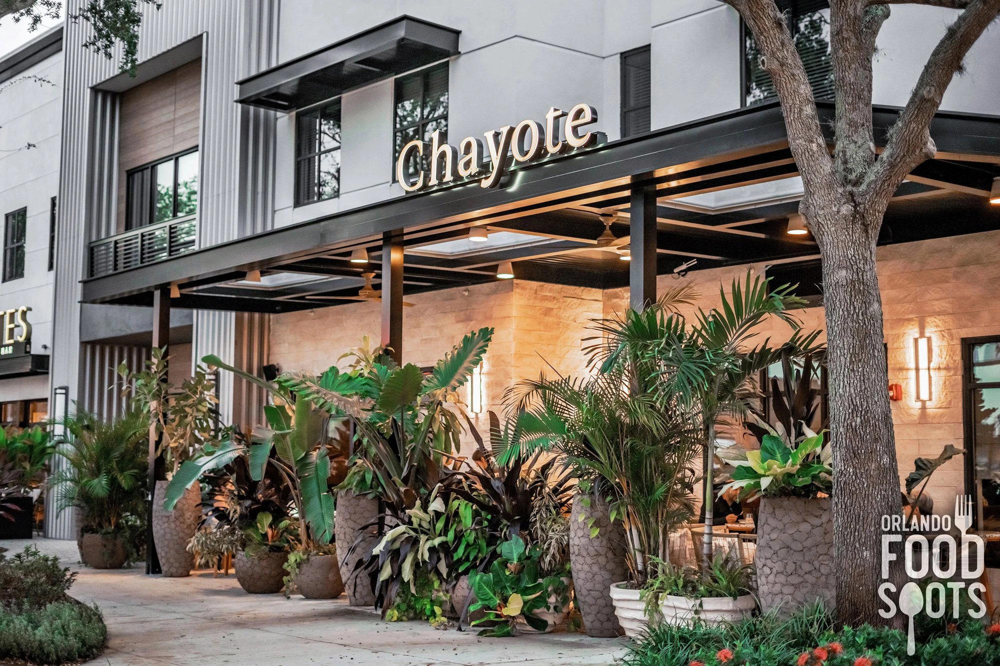Chayote Barrio Kitchen restaurant in Winter Park, United States