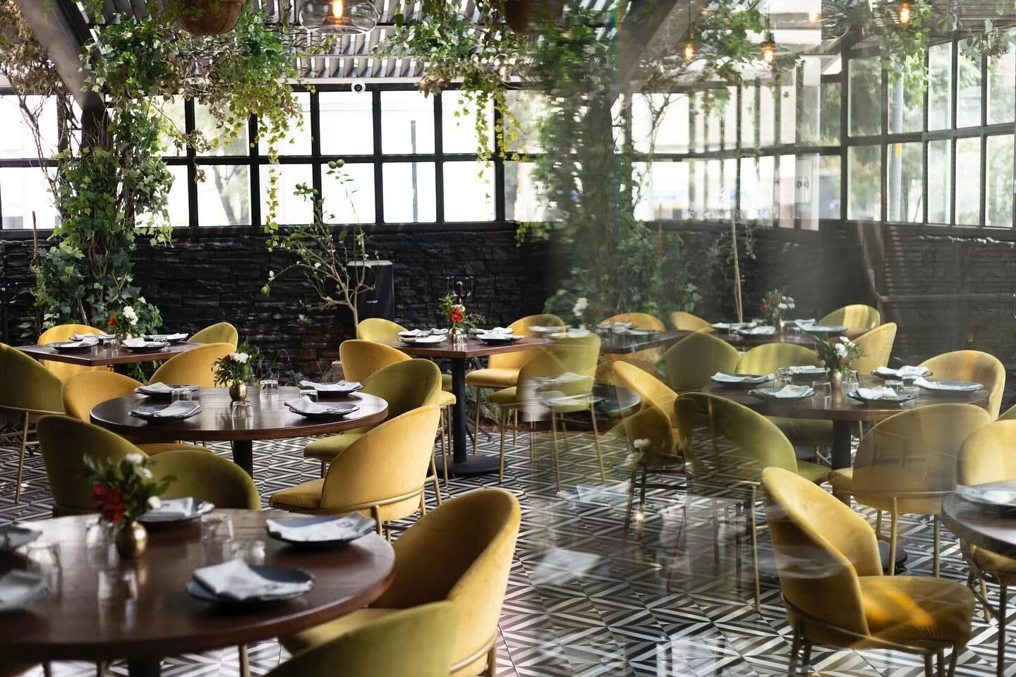 Fiamma restaurant in Mexico City, Mexico
