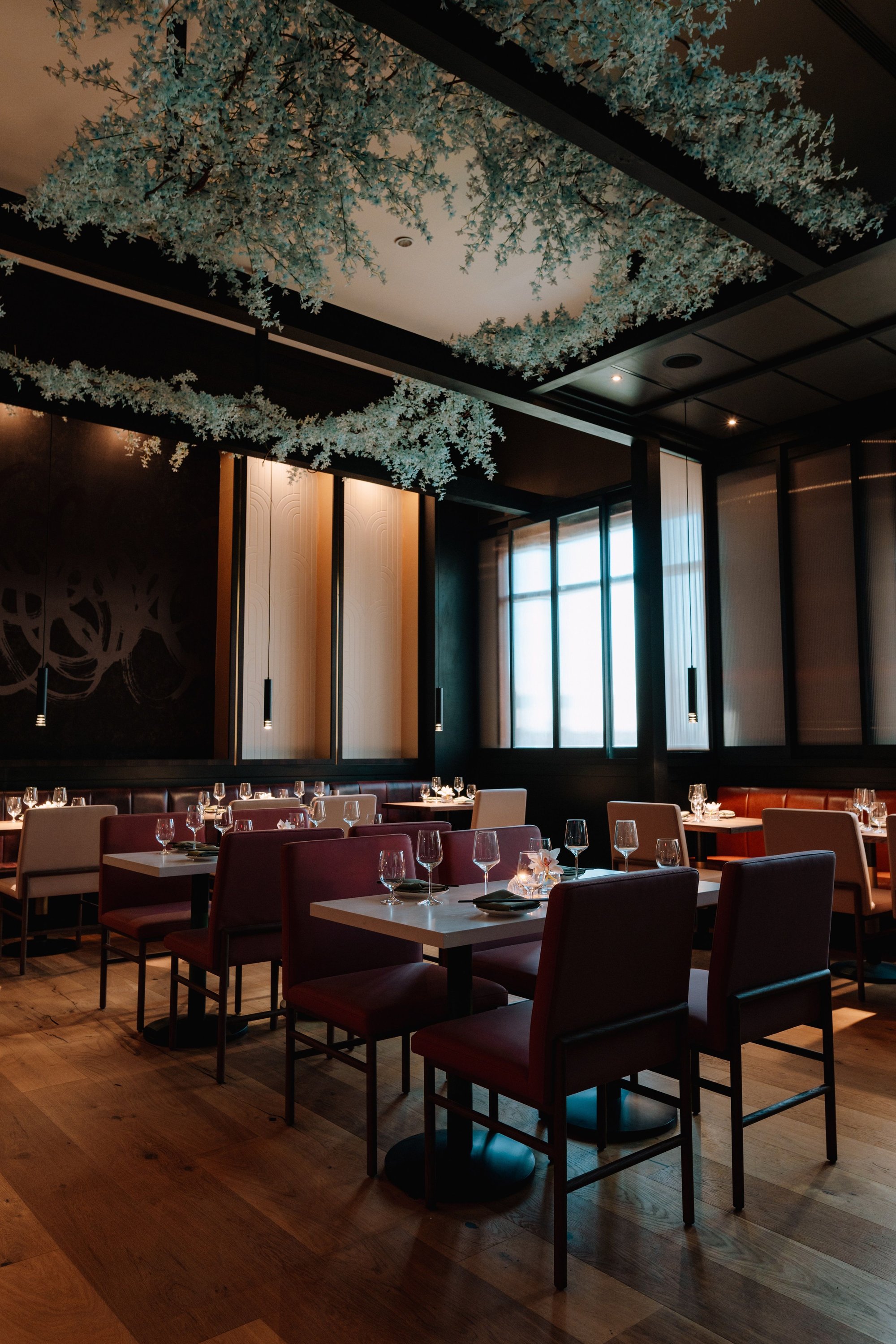 Blossom Reserve, Restaurant in Houston