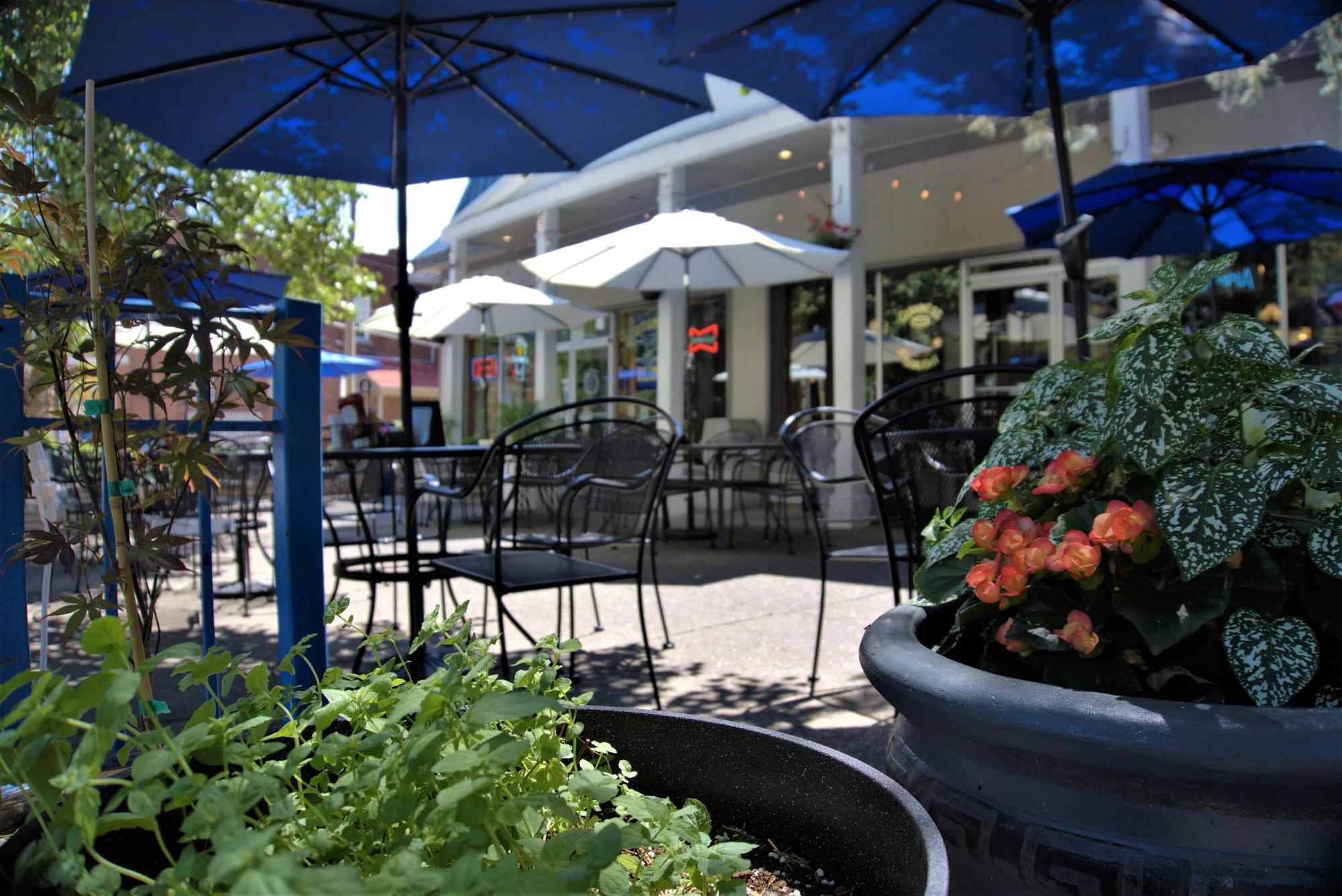 Olympia Kebob House & Taverna restaurant in St Louis, United States