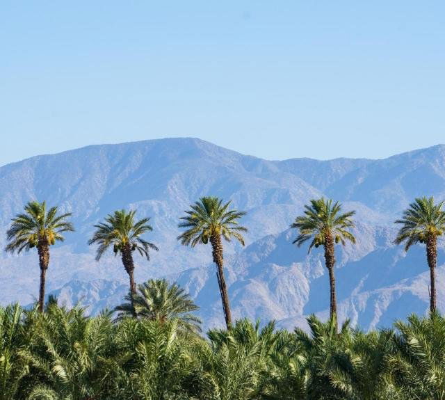 The District, Restaurant in Rancho Mirage