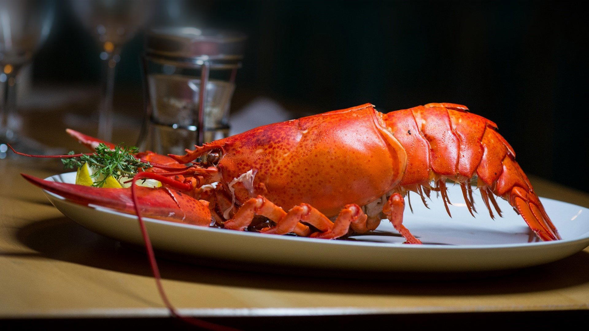 1st Lobster restaurant in Kitzbühel, Austria