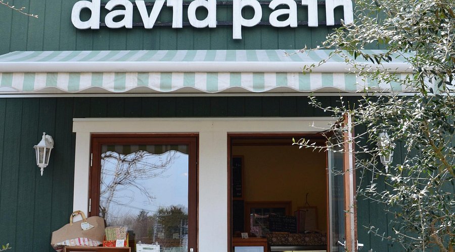 david pain