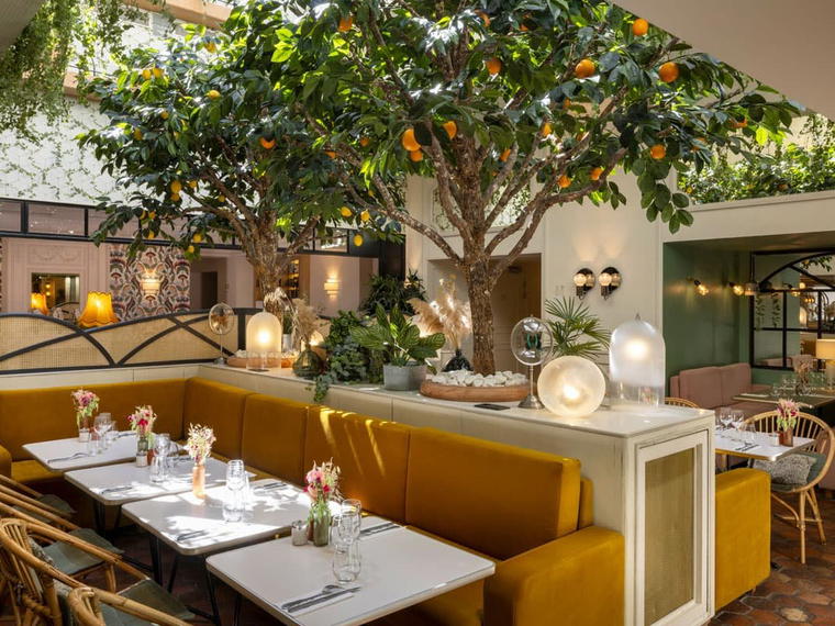 Arboré, Paris, France