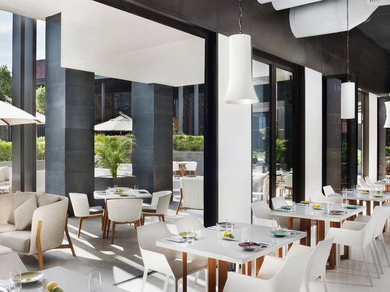CHIVAL, Dubai, United Arab Emirates
