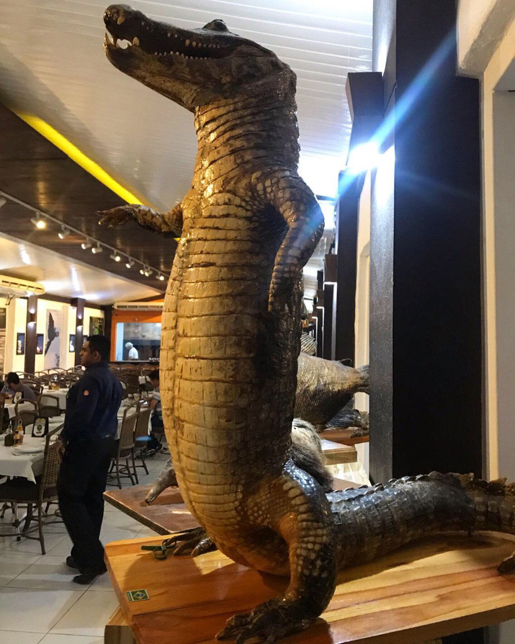 Lélis fish restaurant, Restaurant in Cuiaba