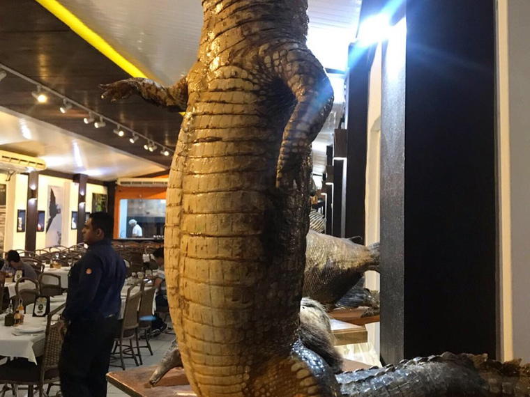 Lélis fish restaurant, Cuiaba, Brazil