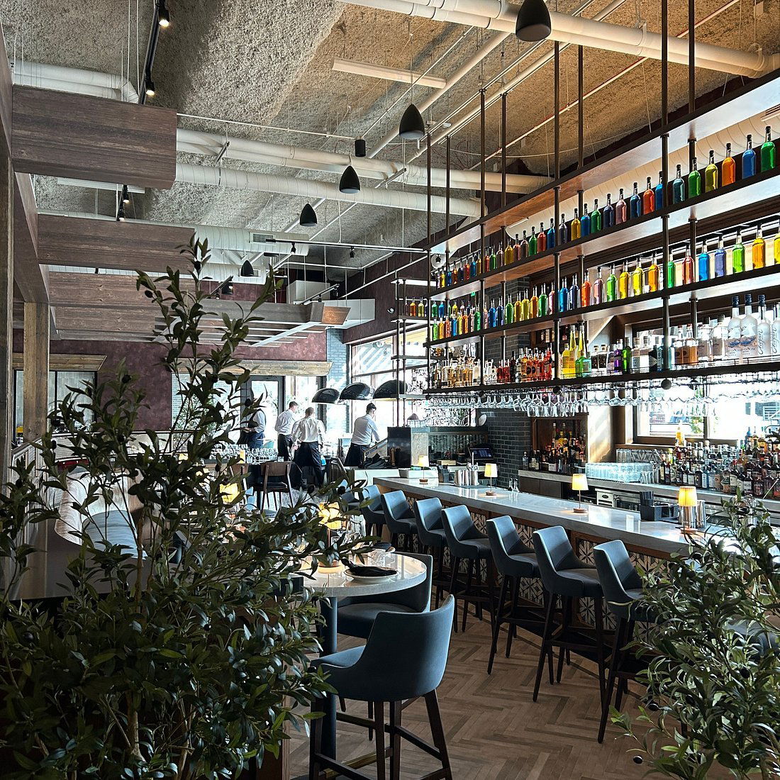 Zingaro, Restaurant in Cincinnati
