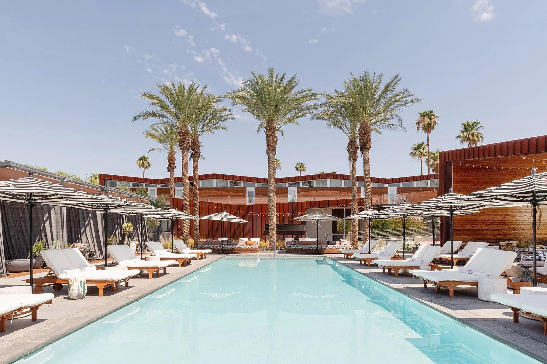Palm Canyon Swim & Social