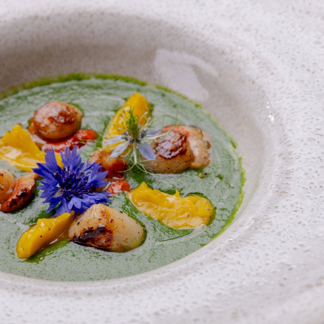 Domuus Americana