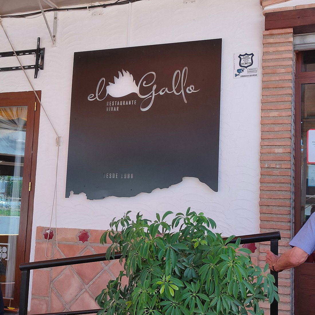 El Gallo de Nívar, Restaurant in Nivar