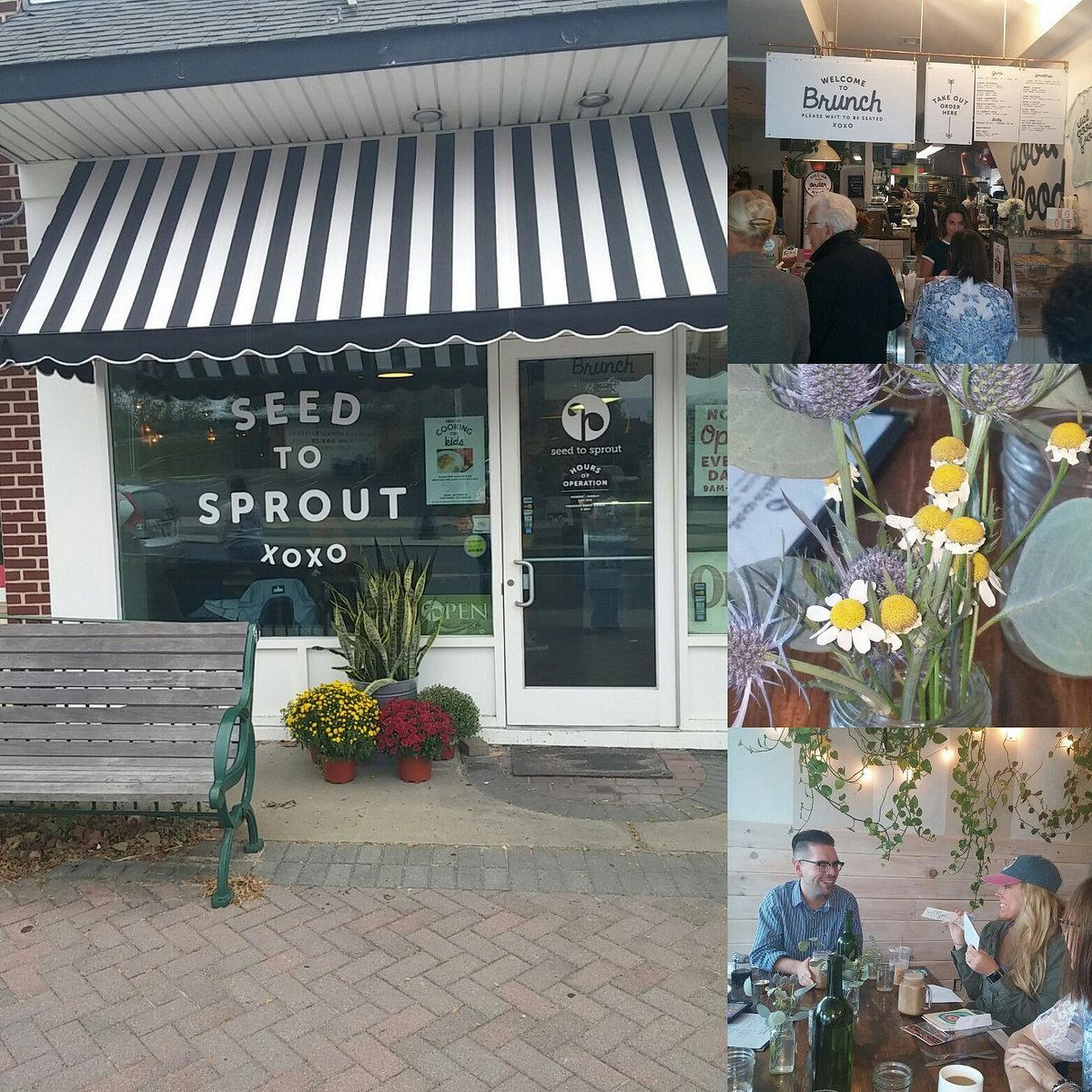 Seed To Sprout restaurant in Avon-by-the-Sea