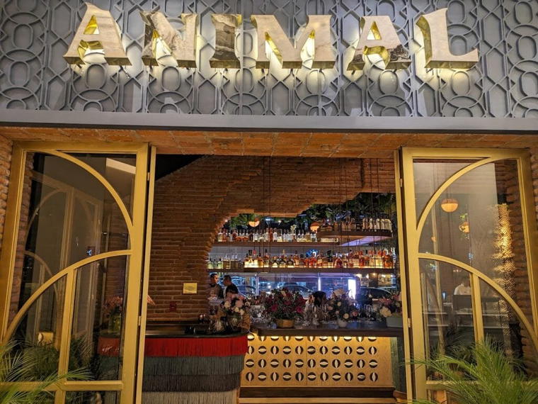Animal, Mexico City, Mexico