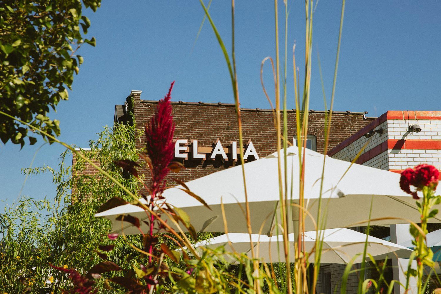 ELAIA restaurant in St Louis, United States