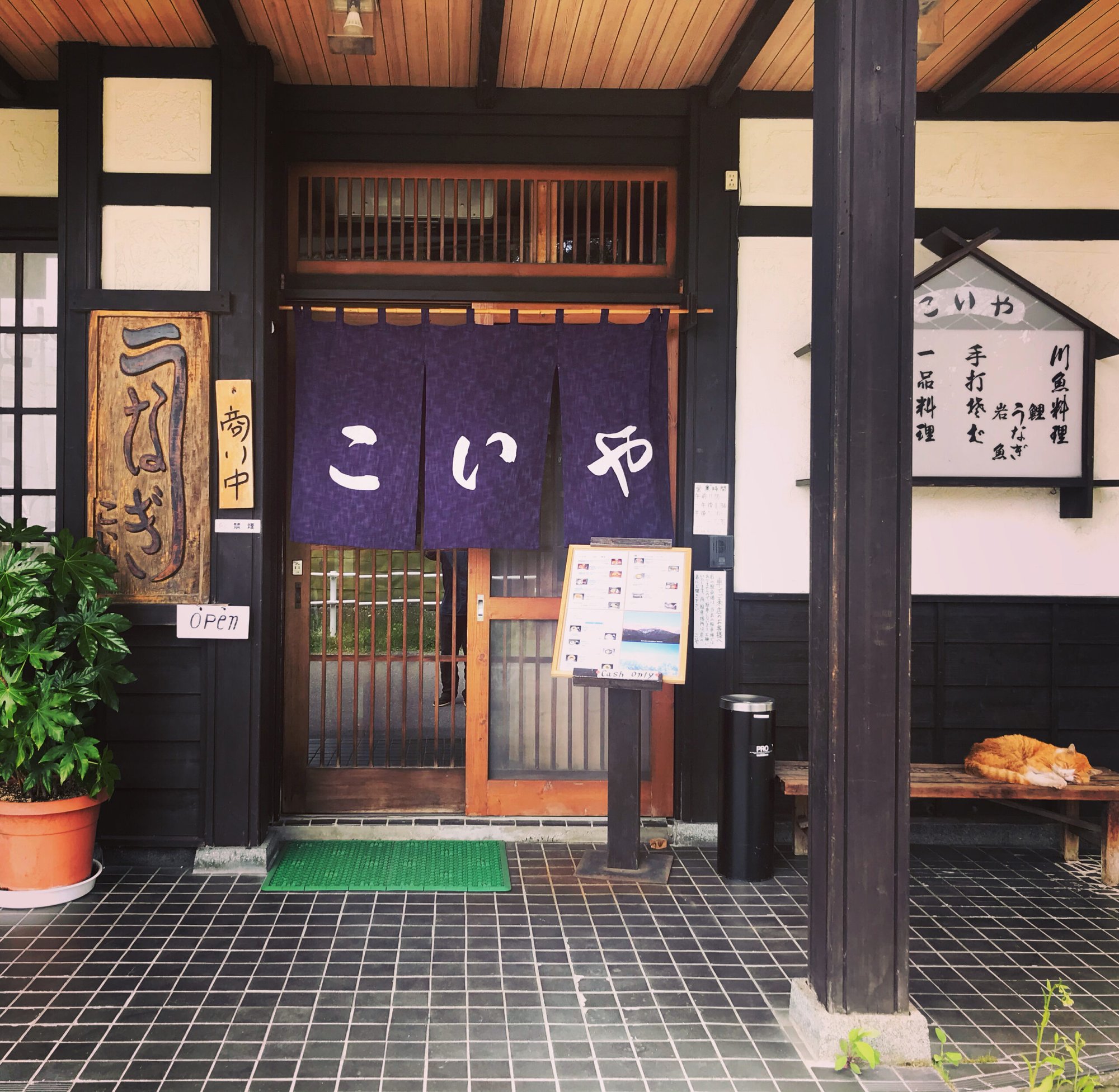 Koiya