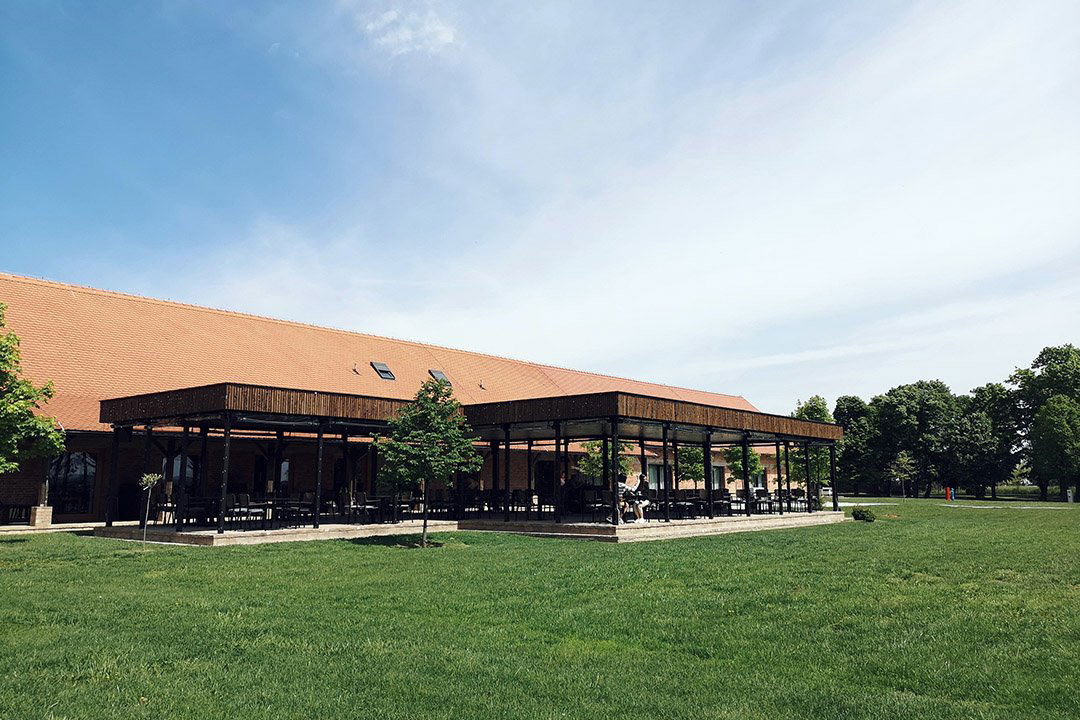 Crna Svinja, Restaurant in Cepin