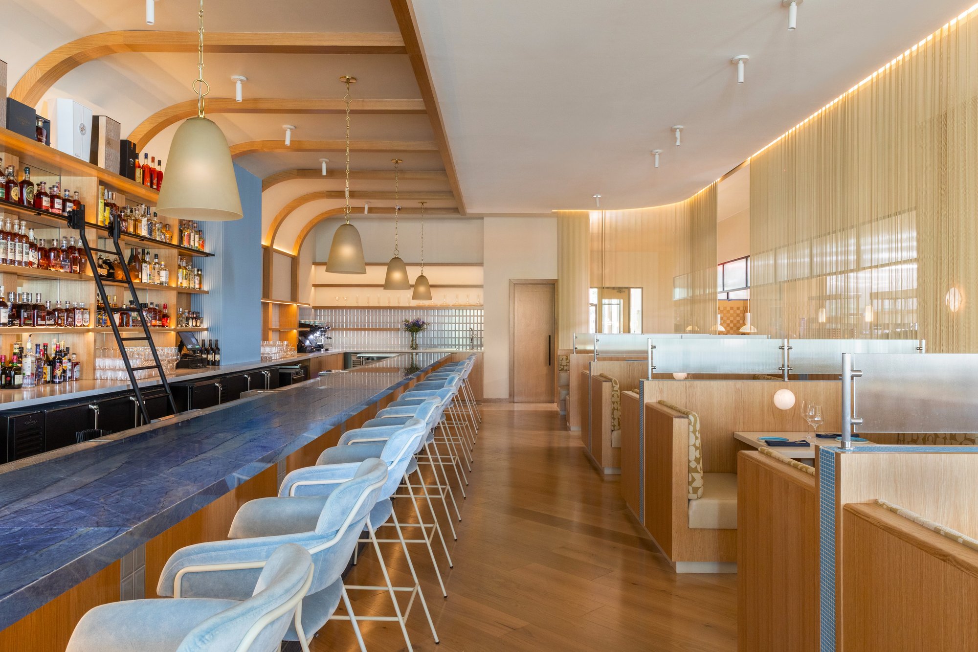 Charolais